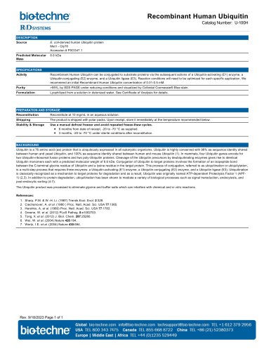 Recombinant Human Ubiquitin