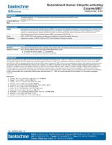 Recombinant Human Ubiquitin‑activating Enzyme/UBE1