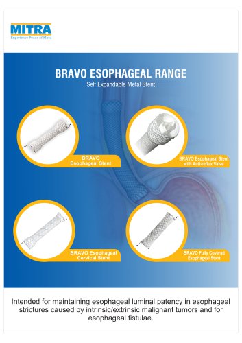 Esophageal Stents