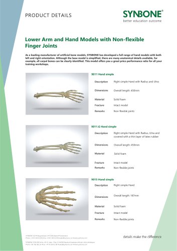 Lower Arm and Hand Models with inflexible Finger joints