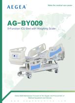 AG-BY009 5-Function Adjustable Hospital Bed with Weighing Scale System