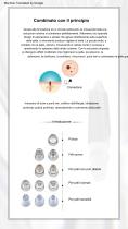 Hydrafacial portatile-3