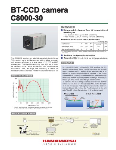 BT-CCD camera  C8000-30