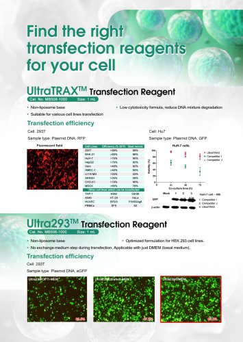 Transfection Reagent