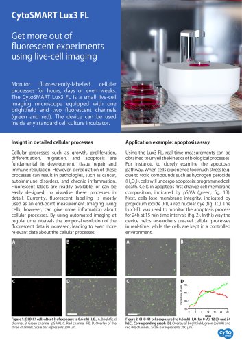 Apoptosis assay with fluorescence imaging