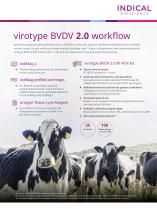 virotype BVDV 2.0 workflow