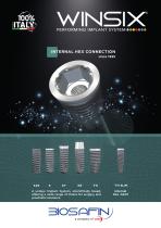 INTERNAL HEX CONNECTION