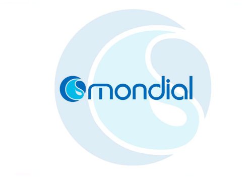 Mondial Srl Portfolio