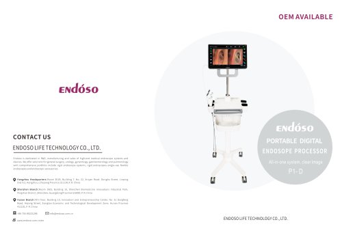 Endoso Portable digital endoscope image processing system P1 P2