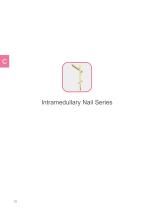 Intramedullary Nail System 2025