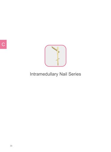 Intramedullary Nail System 2025