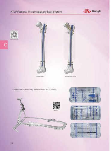KTO®Femoral Intramedullary Nail System