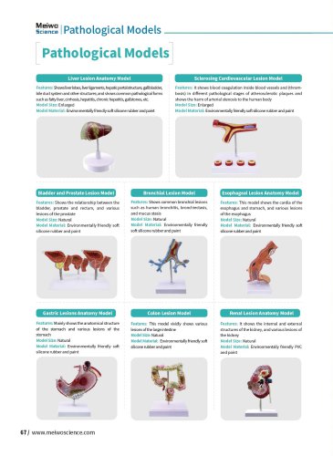 Pathological Models