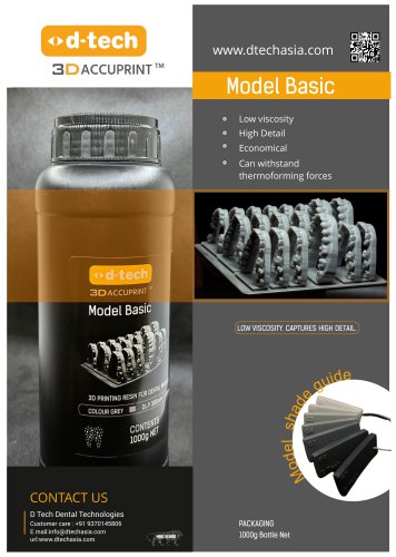 Model Basic Flyer