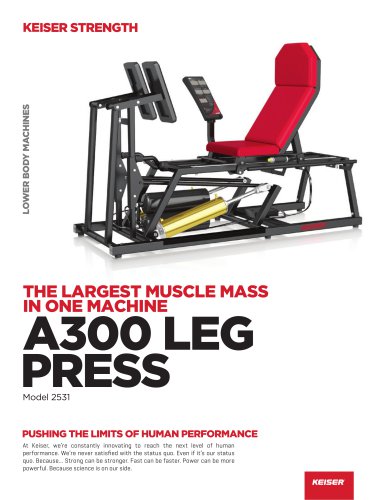 A300 Leg Press