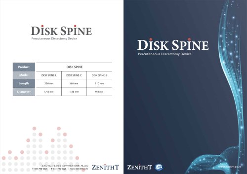 DISK SPINE