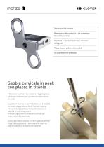 CERVICAL PEEK - 2