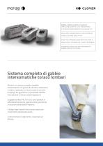 MONZA LUMBAR PLIF TLIF - 2