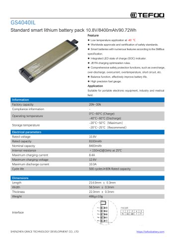 GS2040IL