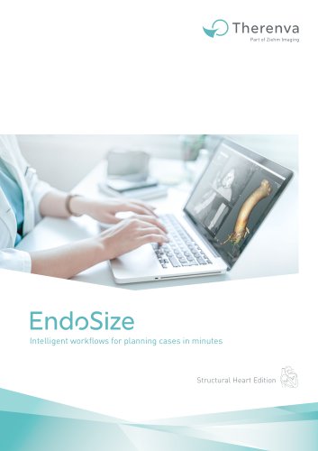 EndoSize