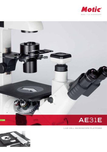 AE31E