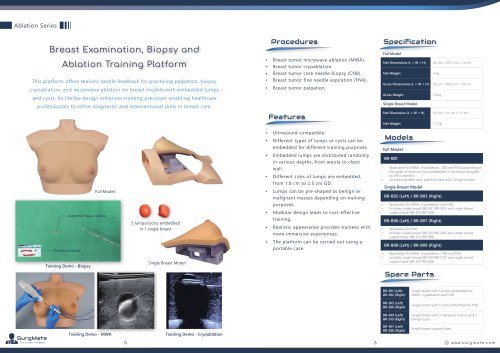 Vascular Access Phantom (4 Vessels &ndash; 2 Straight & 2 Curved)