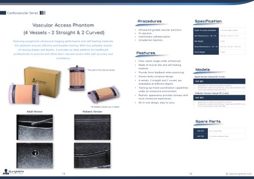 Vascular Access Phantom (4 Vessels &ndash; 2 Straight & 2 Curved)