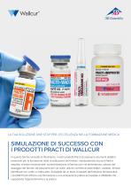 Simulazione di Successo con i Prodotti Practi di Wallcur - 1