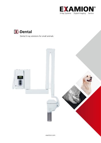 X-Dental
