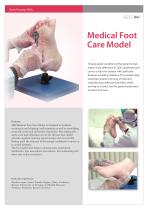 Medical Foot Care Model