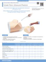 US-10  Female Pelvic Ultrasound Phantom