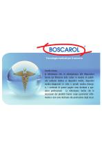 CATALOGO BOSCAROL - 2