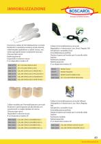 Catalogo immobilizzazione - 10