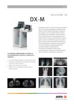 DX-M - 1