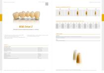 Catalogo prodotti BEGO – BEGO CAD/CAM-5