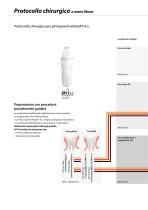 whiteSKY – Protocollo de uso - 4
