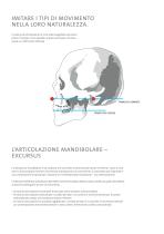 Articolatore CA 3.0 - 4