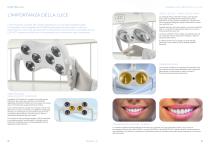 Skema 5 | Castellini-10