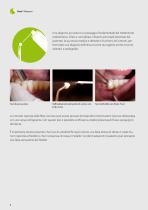 ENDODONZIA - 6