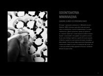 Brochure Faccette Prettau® Skin®-3
