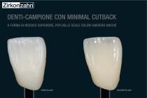 Brochure Shade Guide - 12