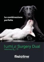 Lumix Surgery Dual Veterinary