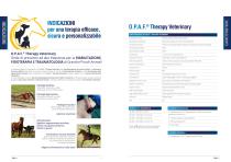 O.P.A.F.® Therapy Veterinary-4