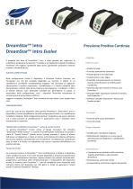 DreamStar Info & Auto - 1