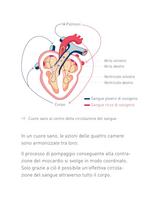 Congestive Heart Failure Therapy System - 6