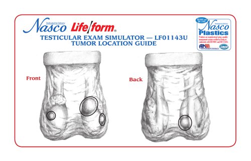 Nasco?s Life/form® Testicular Exam Simulator