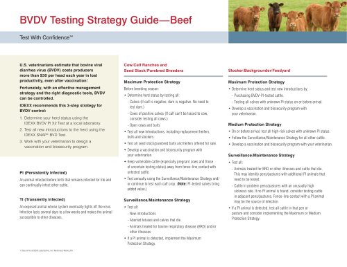 BVDV Testing Strategy Guide—Beef