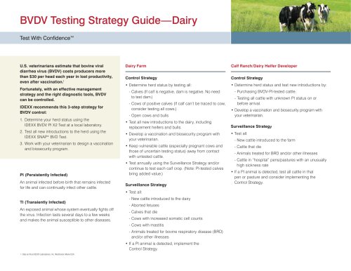 BVDV Testing Strategy Guide—Dairy