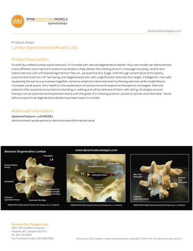 Lumbar Spinal Stenosis Model