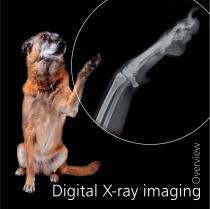 Overview brochure - Digital X-ray imaging